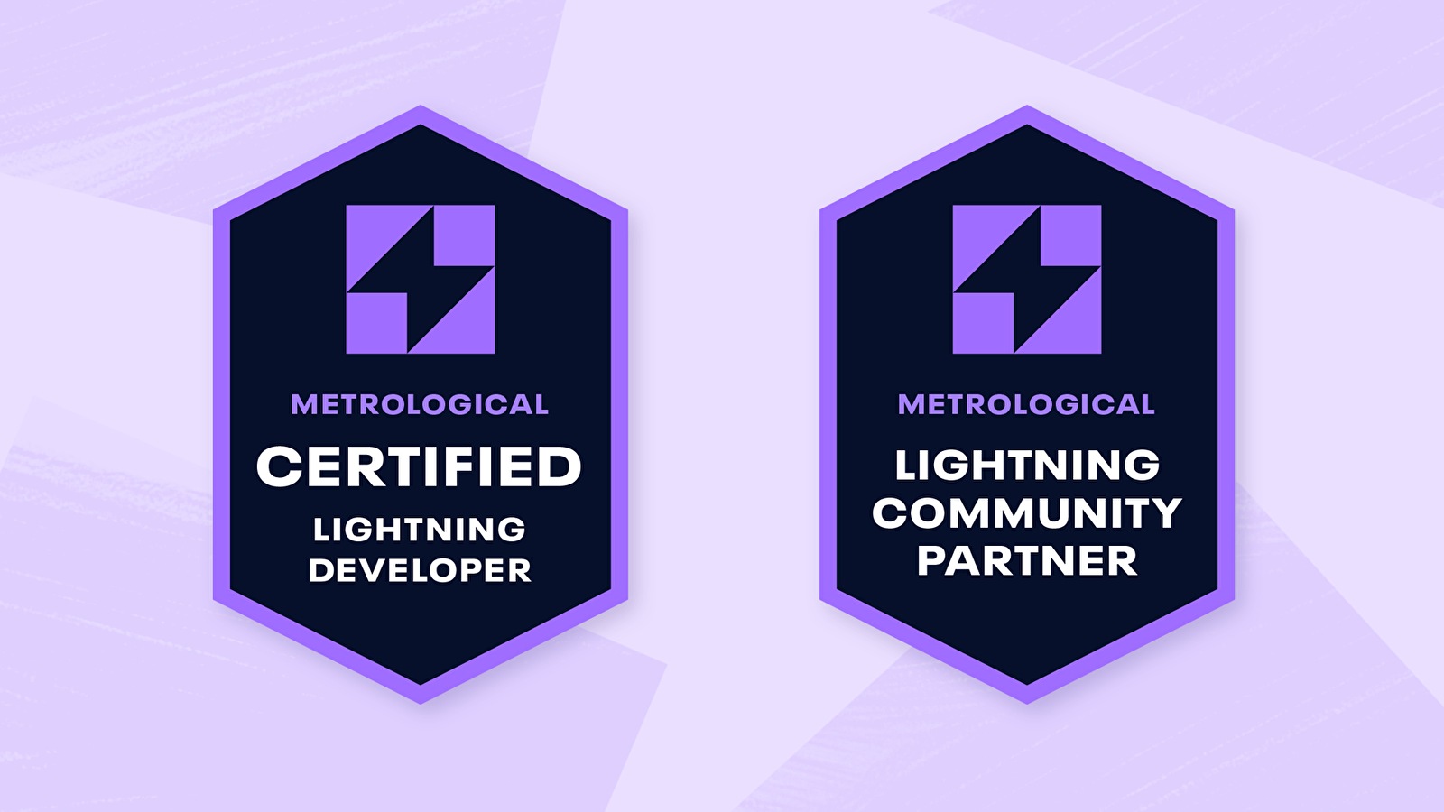 Metrological's Lightning Partner Program